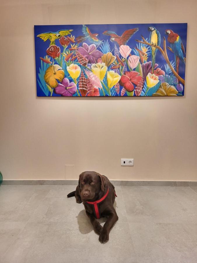 Alvaredo Casa Do Alambiqueヴィラ エクステリア 写真